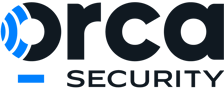 Orca-Security-Digital-1