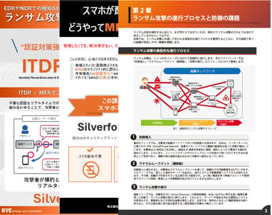 Silverfort資料サンプル画像