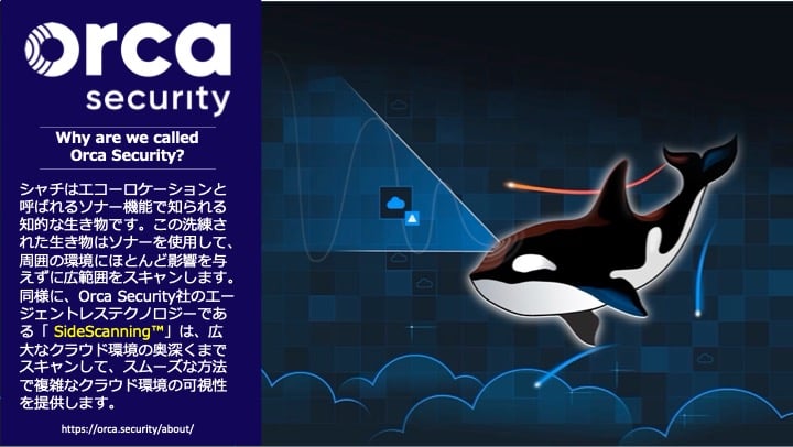 Orca Security