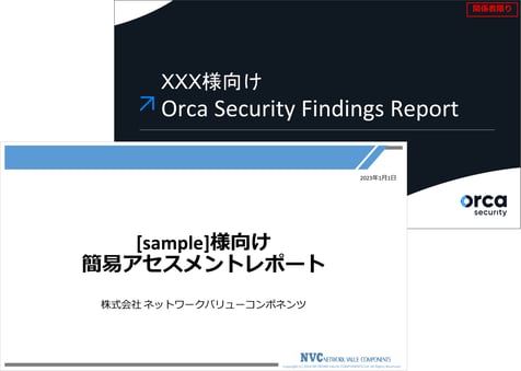 Orca Security簡易アセスメントレポート